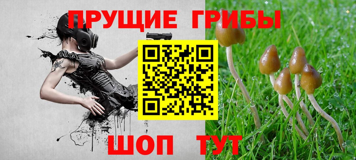 Чернушка  хочу наркоту  Вход с VPN  Галлюциногенные грибы Magic Shrooms  Псилоцибиновые грибы ЛСД 